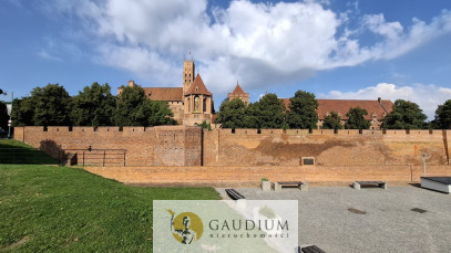 Lokal Sprzedaż Malbork Tadeusza Kościuszki