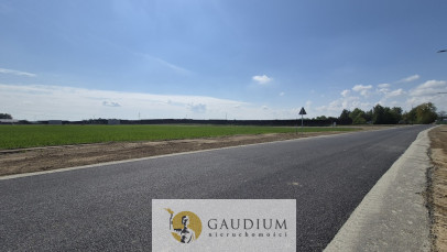 Działka Sprzedaż Sztum