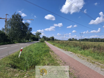 Działka Sprzedaż Dziewięć Włók