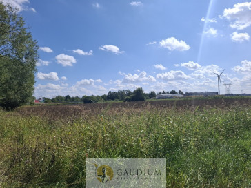 Działka Sprzedaż Dziewięć Włók