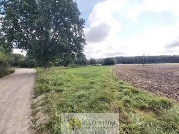 Działka Sprzedaż Brudzewo
