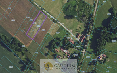 Działka Sprzedaż Drwęca