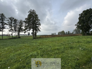 Działka Sprzedaż Kozjaty