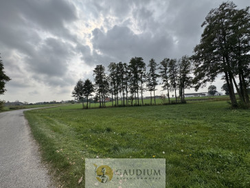 Działka Sprzedaż Kozjaty