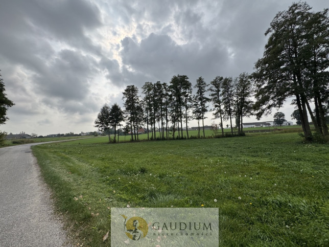 Działka Sprzedaż Kozjaty 5